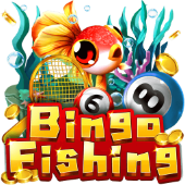 Câu Cá Bingo abc8 full